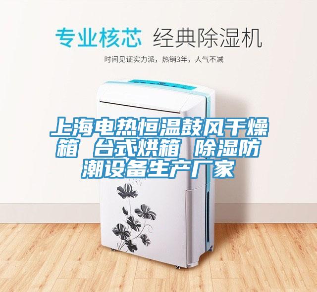 上海電熱恒溫鼓風干燥箱 臺式烘箱 除濕防潮設備生產廠家