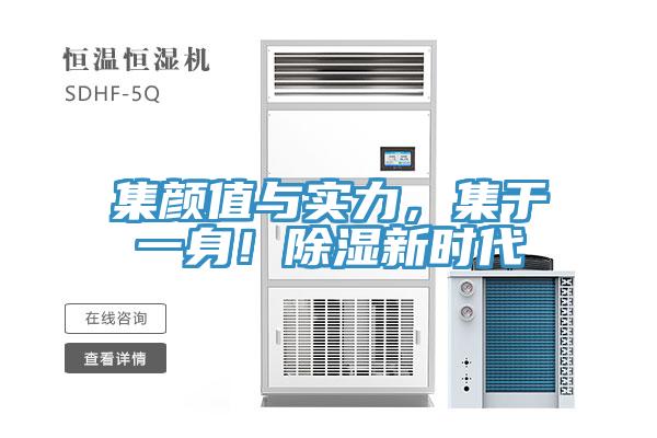 集顏值與實力，集于一身！除濕新時代