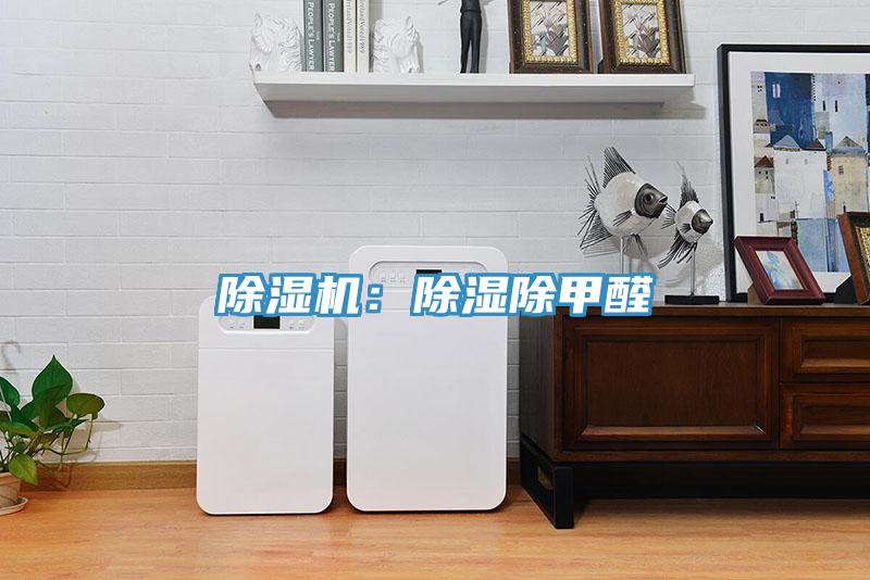 除濕機：除濕除甲醛