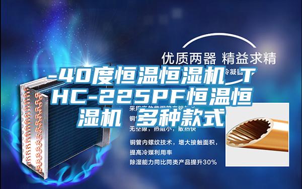 -40度恒溫恒濕機(jī) THC-225PF恒溫恒濕機(jī) 多種款式