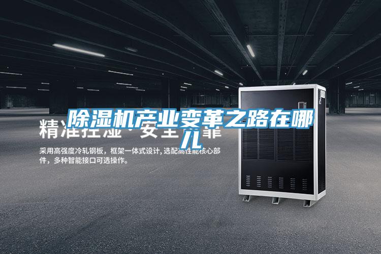 除濕機產(chǎn)業(yè)變革之路在哪兒