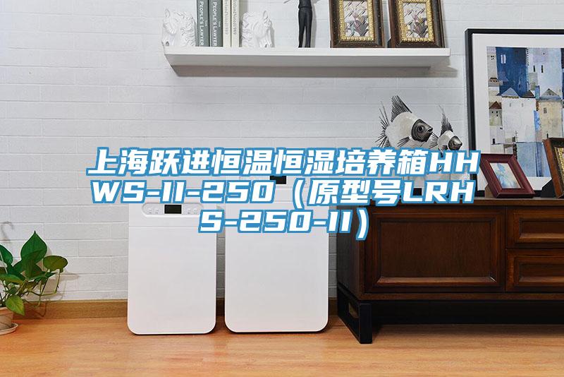 上海躍進恒溫恒濕培養箱HHWS-II-250（原型號LRHS-250-II）