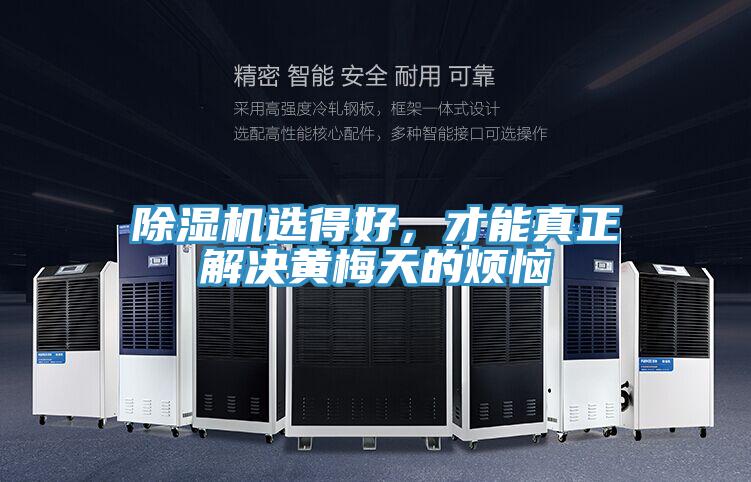 除濕機選得好，才能真正解決黃梅天的煩惱