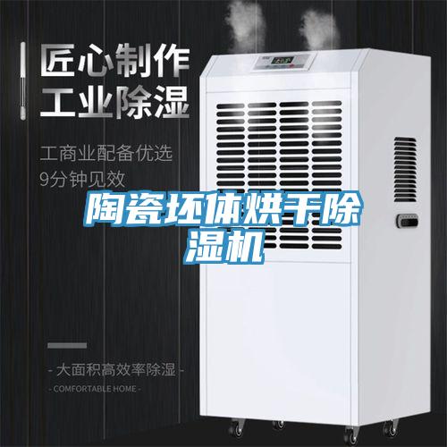 陶瓷坯體烘干除濕機