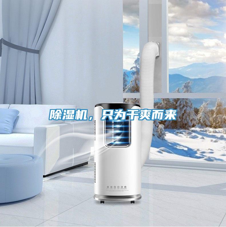 除濕機，只為干爽而來