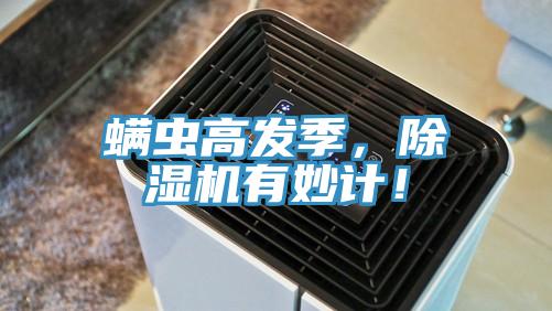 螨蟲高發季，除濕機有妙計！