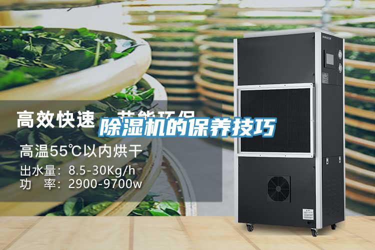 除濕機的保養技巧