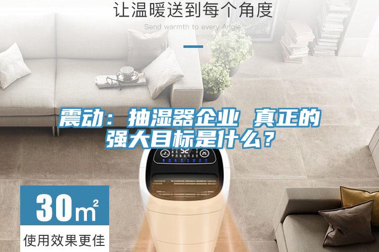 震動：抽濕器企業(yè) 真正的強大目標是什么？