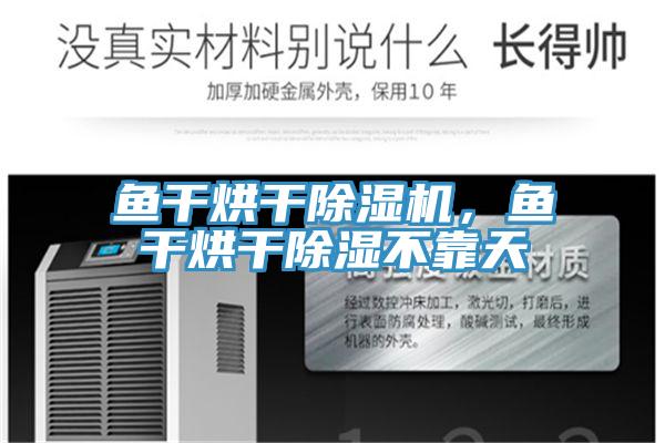 魚干烘干除濕機(jī)，魚干烘干除濕不靠天