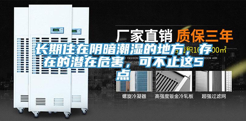 長期住在陰暗潮濕的地方，存在的潛在危害，可不止這5點