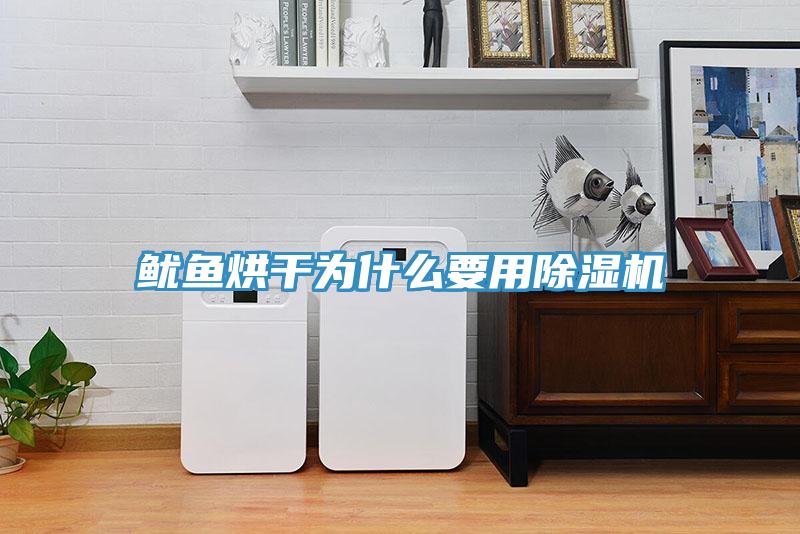 魷魚烘干為什么要用除濕機(jī)