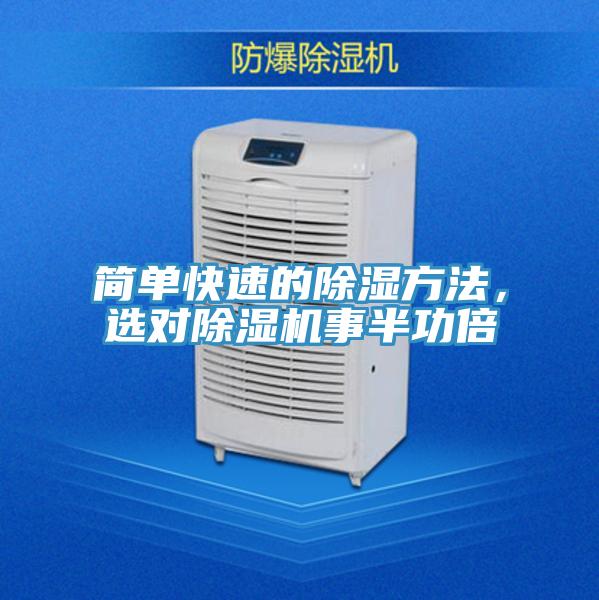 簡單快速的除濕方法，選對除濕機事半功倍