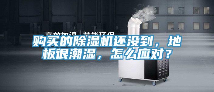 購(gòu)買(mǎi)的除濕機(jī)還沒(méi)到,地板很潮濕,怎么應(yīng)對(duì)?