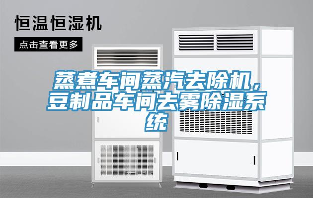 蒸煮車間蒸汽去除機，豆制品車間去霧除濕系統