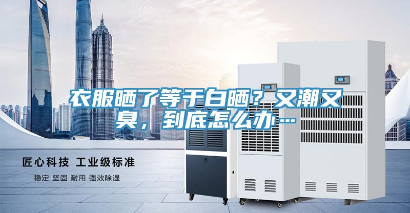 衣服曬了等于白曬？又潮又臭，到底怎么辦…