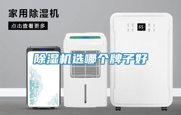 除濕機選哪個牌子好