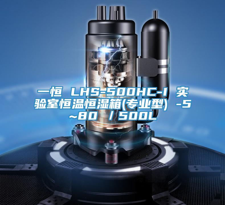 一恒 LHS-500HC-I 實(shí)驗(yàn)室恒溫恒濕箱(專業(yè)型) -5~80℃／500L