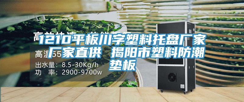1210平板川字塑料托盤廠家 廠家直供 揭陽市塑料防潮墊板