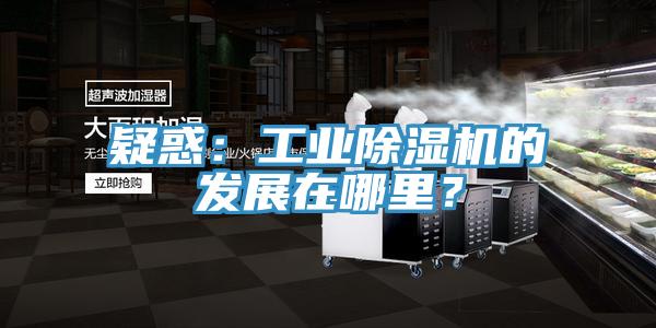 疑惑：工業(yè)除濕機(jī)的發(fā)展在哪里？