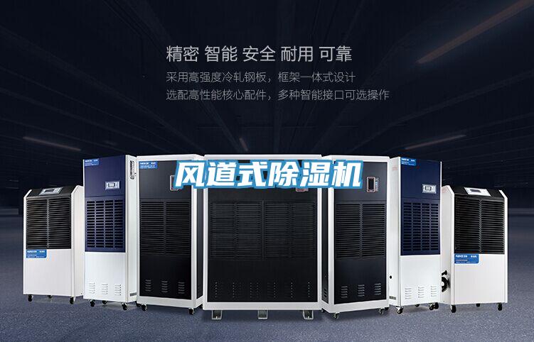 風(fēng)道式除濕機(jī)