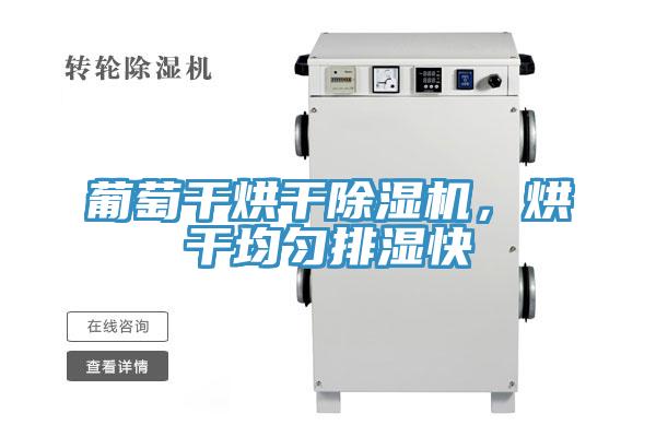 葡萄干烘干除濕機，烘干均勻排濕快