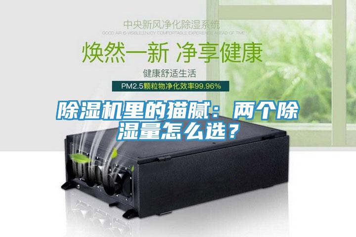 除濕機里的貓膩：兩個除濕量怎么選？
