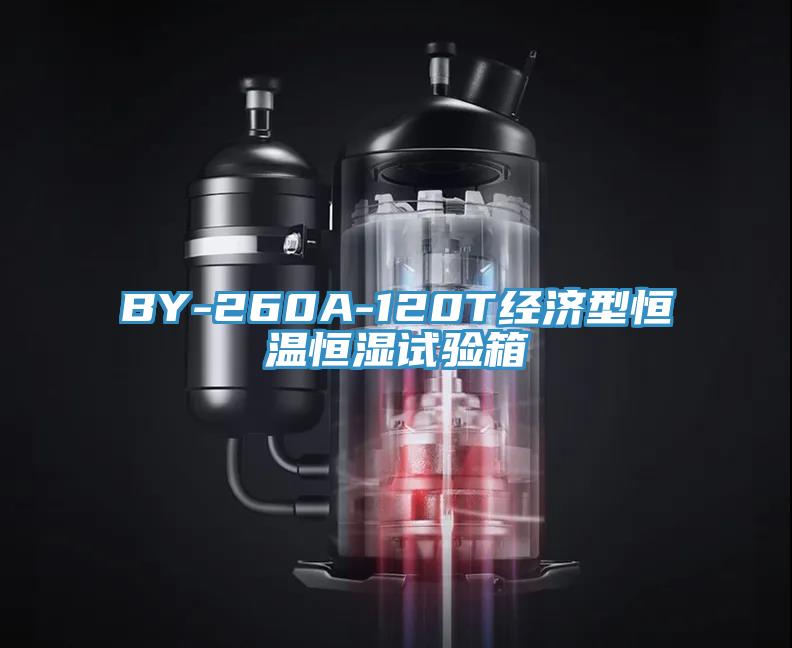 BY-260A-120T經(jīng)濟型恒溫恒濕試驗箱