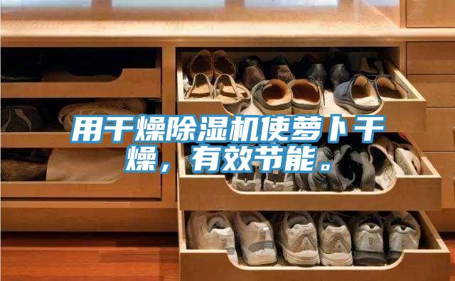 用干燥除濕機使蘿卜干燥，有效節能。