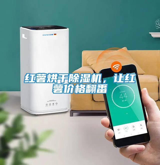 紅薯烘干除濕機(jī)，讓紅薯價(jià)格翻番