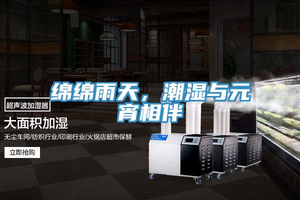 綿綿雨天，潮濕與元宵相伴