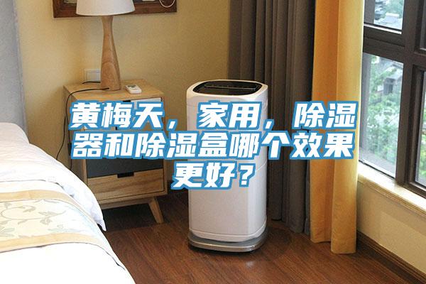 黃梅天，家用，除濕器和除濕盒哪個效果更好？