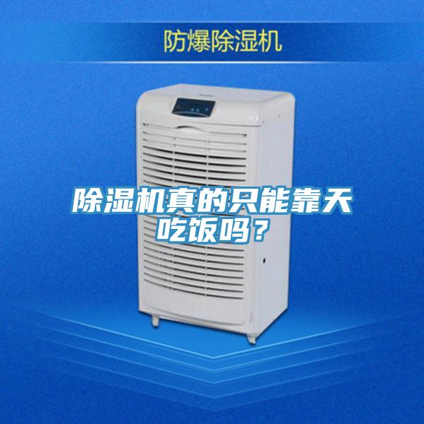 除濕機真的只能靠天吃飯嗎？