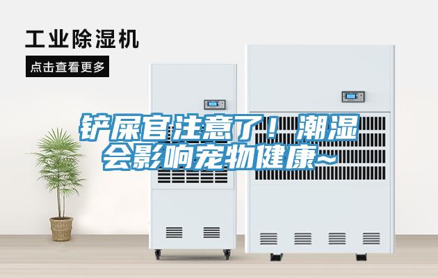 鏟屎官注意了！潮濕會影響寵物健康~