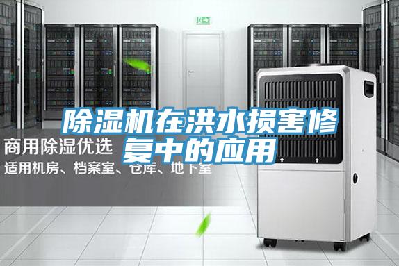 除濕機在洪水損害修復中的應用