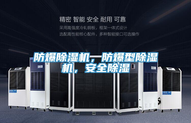 防爆除濕機，防爆型除濕機，安全除濕