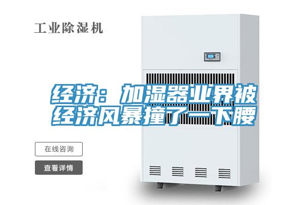 經(jīng)濟：加濕器業(yè)界被經(jīng)濟風暴撞了一下腰