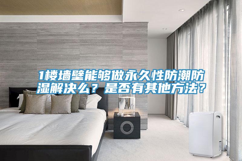 1樓墻壁能夠做永久性防潮防濕解決么？是否有其他方法？