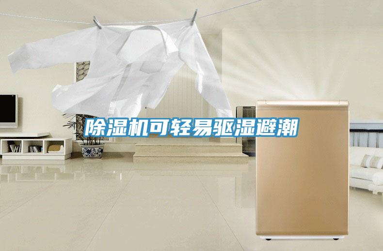 除濕機可輕易驅濕避潮