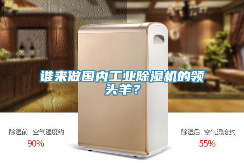 誰來做國內(nèi)工業(yè)除濕機(jī)的領(lǐng)頭羊？