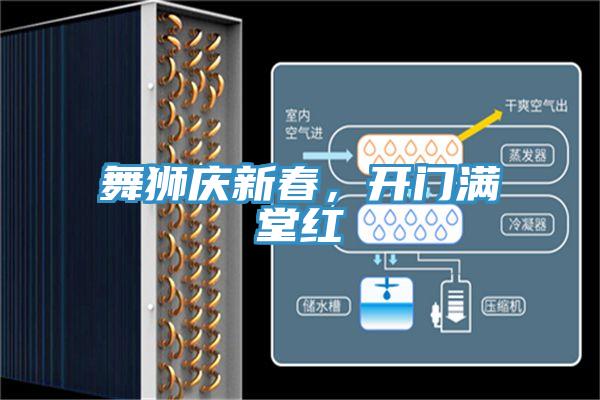 舞獅慶新春，開門滿堂紅