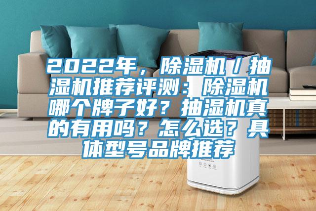 2022年，除濕機／抽濕機推薦評測：除濕機哪個牌子好？抽濕機真的有用嗎？怎么選？具體型號品牌推薦