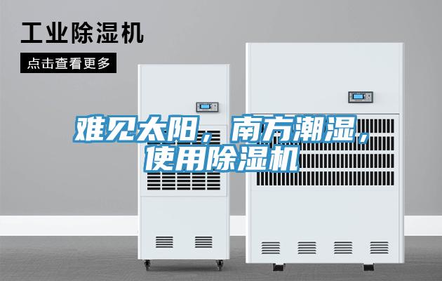 難見太陽，南方潮濕，使用除濕機