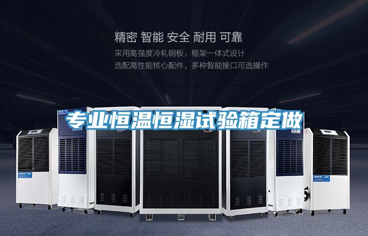 專業恒溫恒濕試驗箱定做