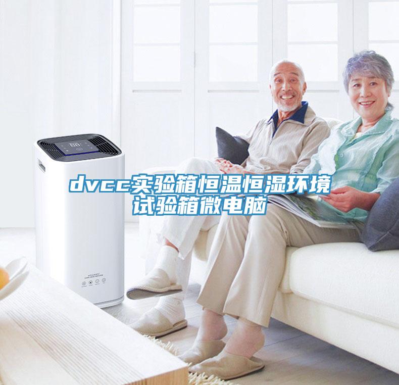 dvcc實驗箱恒溫恒濕環境試驗箱微電腦