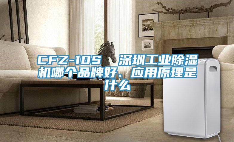 CFZ-10S  深圳工業除濕機哪個品牌好、應用原理是什么