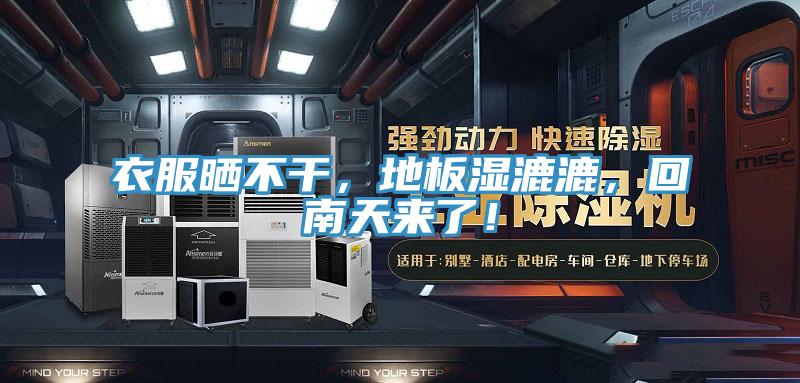 衣服曬不干，地板濕漉漉，回南天來了！