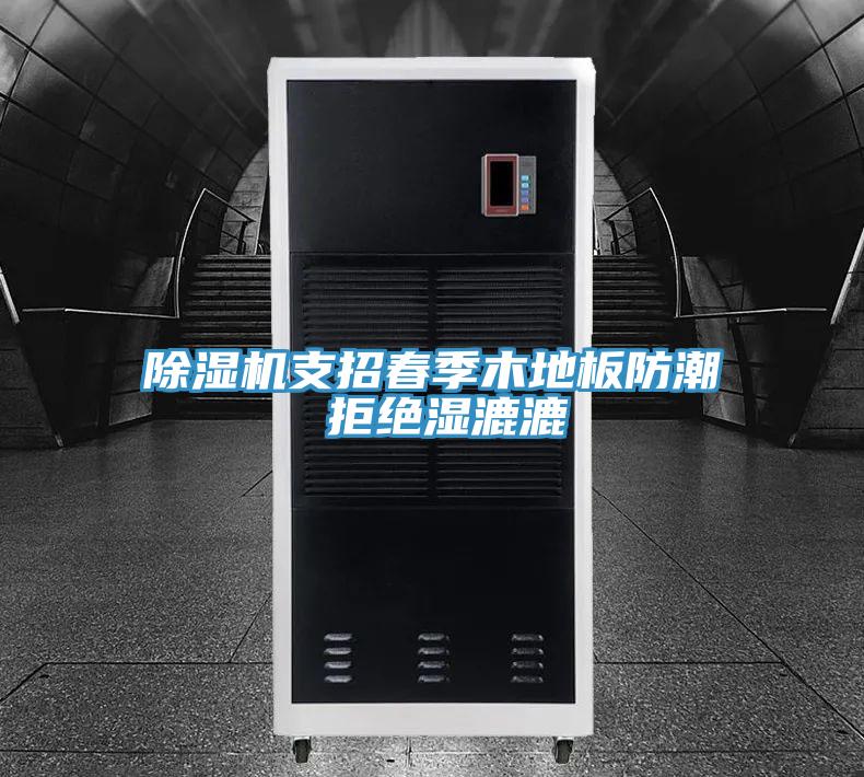 除濕機支招春季木地板防潮 拒絕濕漉漉