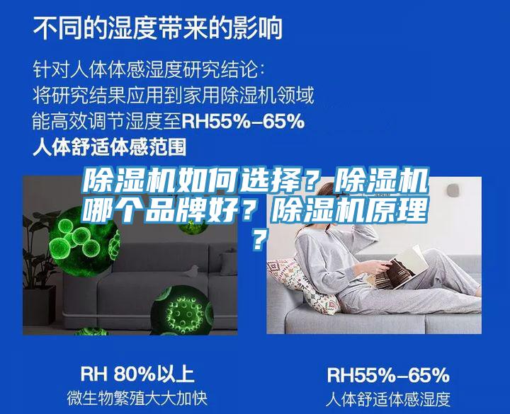 除濕機如何選擇？除濕機哪個品牌好？除濕機原理？