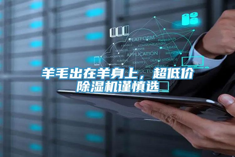 羊毛出在羊身上，超低價除濕機謹慎選