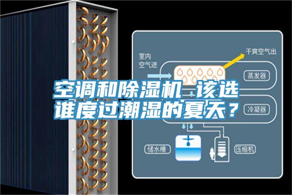 空調(diào)和除濕機(jī) 該選誰(shuí)度過(guò)潮濕的夏天？